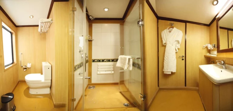 Deluxe Cabin Shower & Toilet